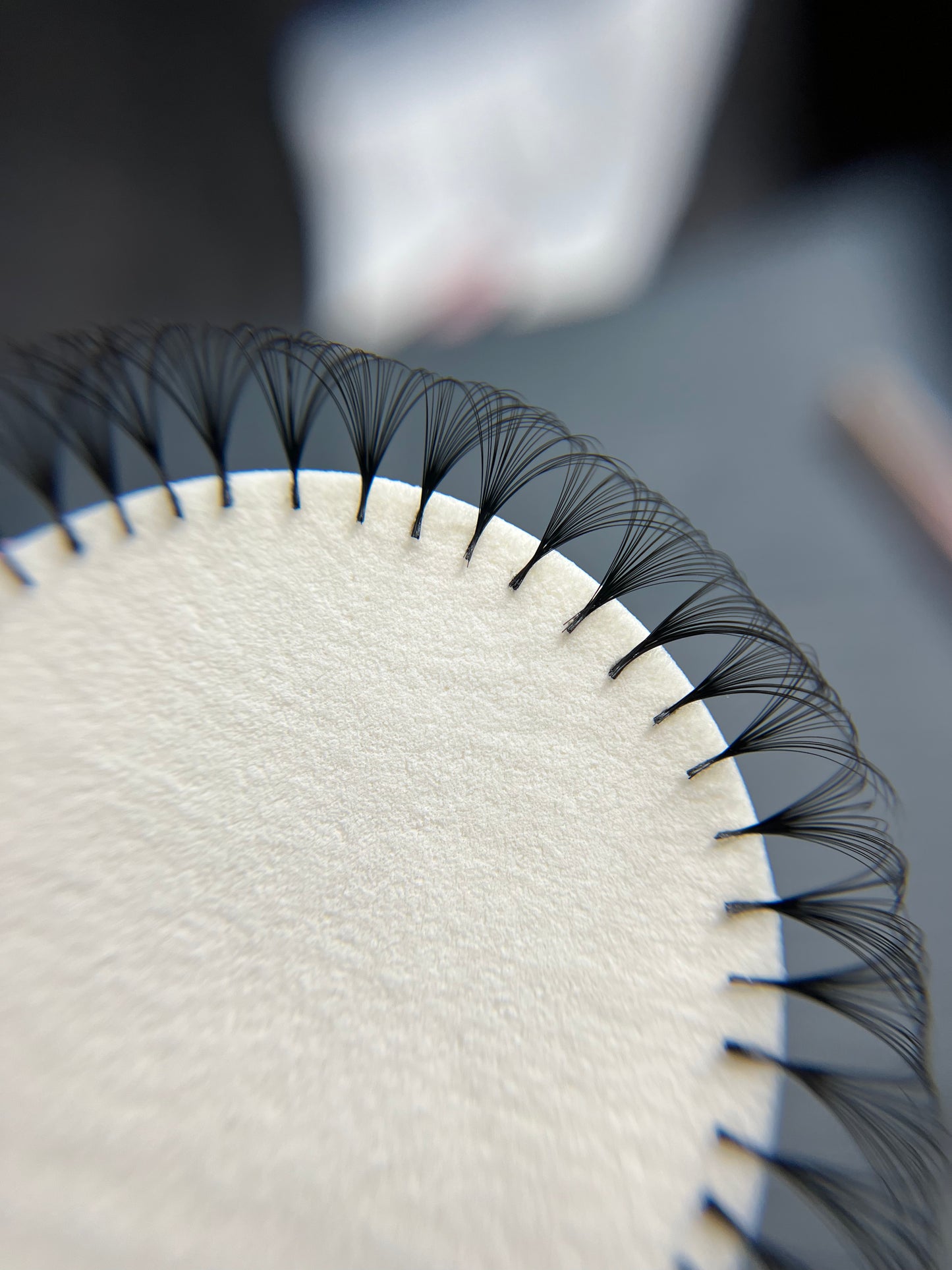 Cashmere Lash Trays